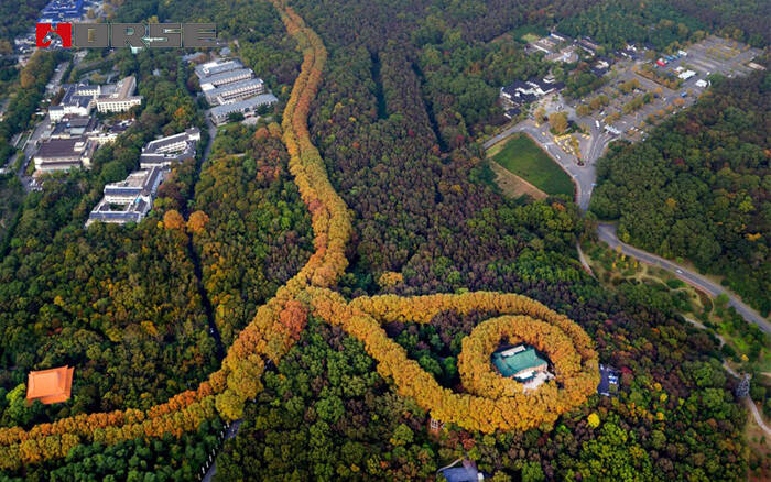 Sử dụng HM-500 neo keo, HM sợi carbon; sửa chữa vết nứtCung điện Nam Kinh Meiling.jpg Sử dụng HM-500 neo keo, HM sợi carbon; sửa chữa vết nứtCung điện Nam Kinh Meiling.jpg