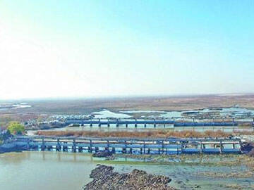 Sợi Carbon làm vật liệu sửa chữa bê tông cho trụ cầu